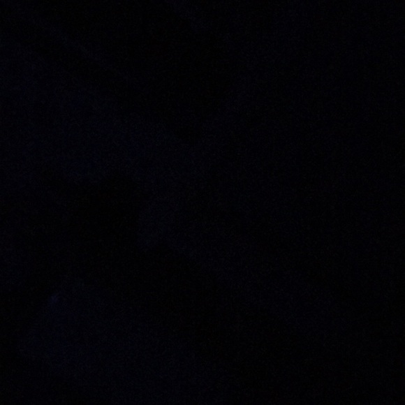 Meet your Posher, Coco - Picture 1 of 1